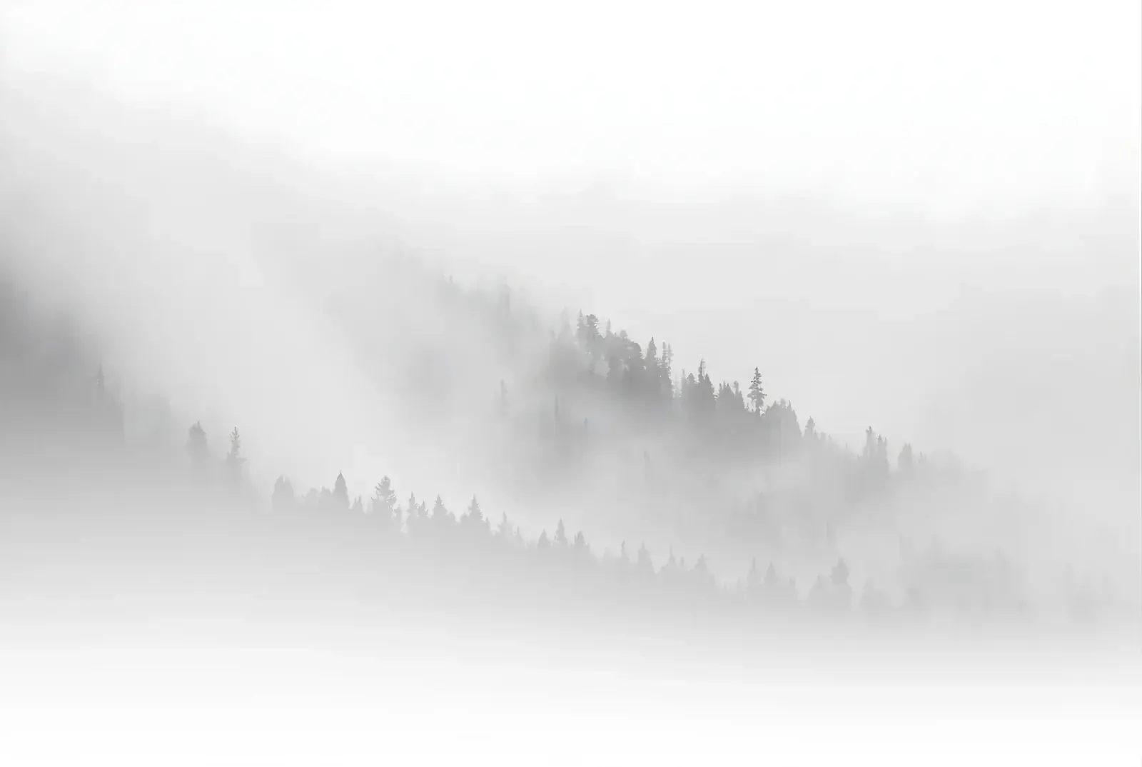 Background 3