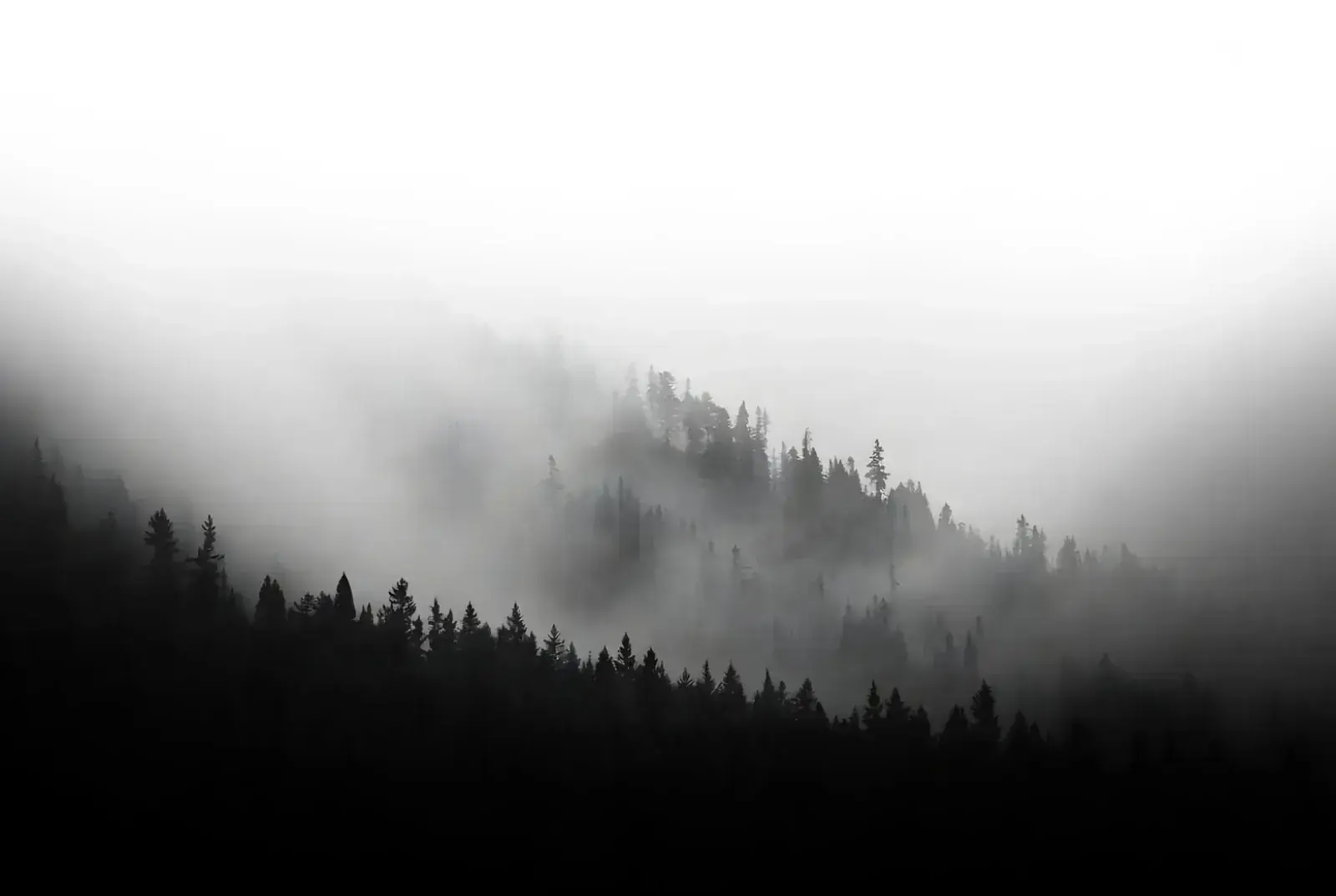 Background 4