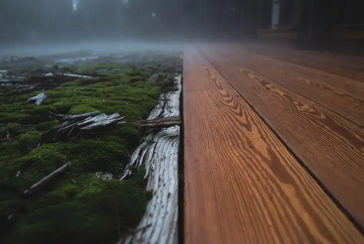 Weathered deck boards transitioning to restored wood